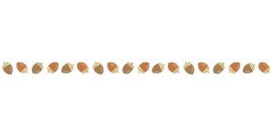 ドングリのライン素材のフリーイラスト Clip art of acorn line