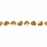クリのライン素材のフリーイラスト Clip art of chestnut line