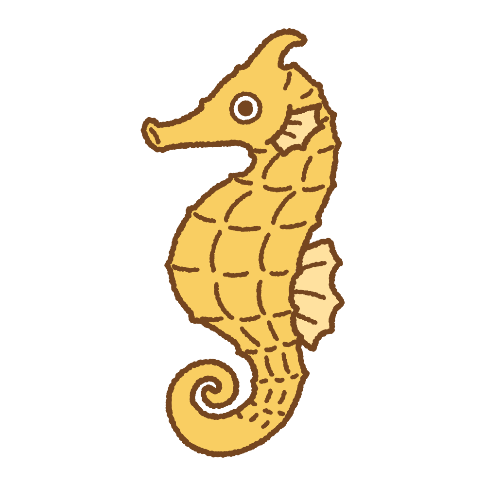 タツノオトシゴのフリーイラスト Clip art of seahorse