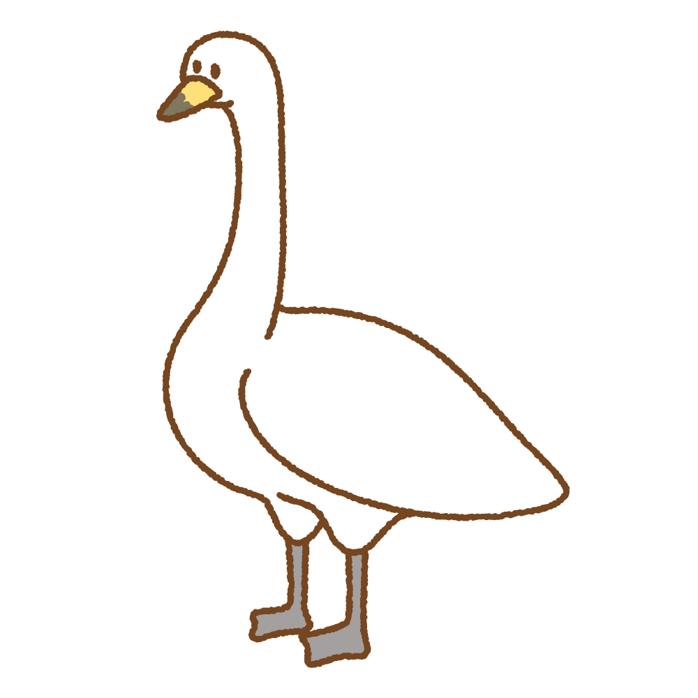 ハクチョウのフリーイラスト Clip art of swan