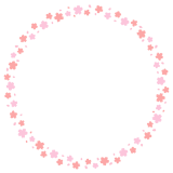 桜の花の丸フレーム素材のイラスト