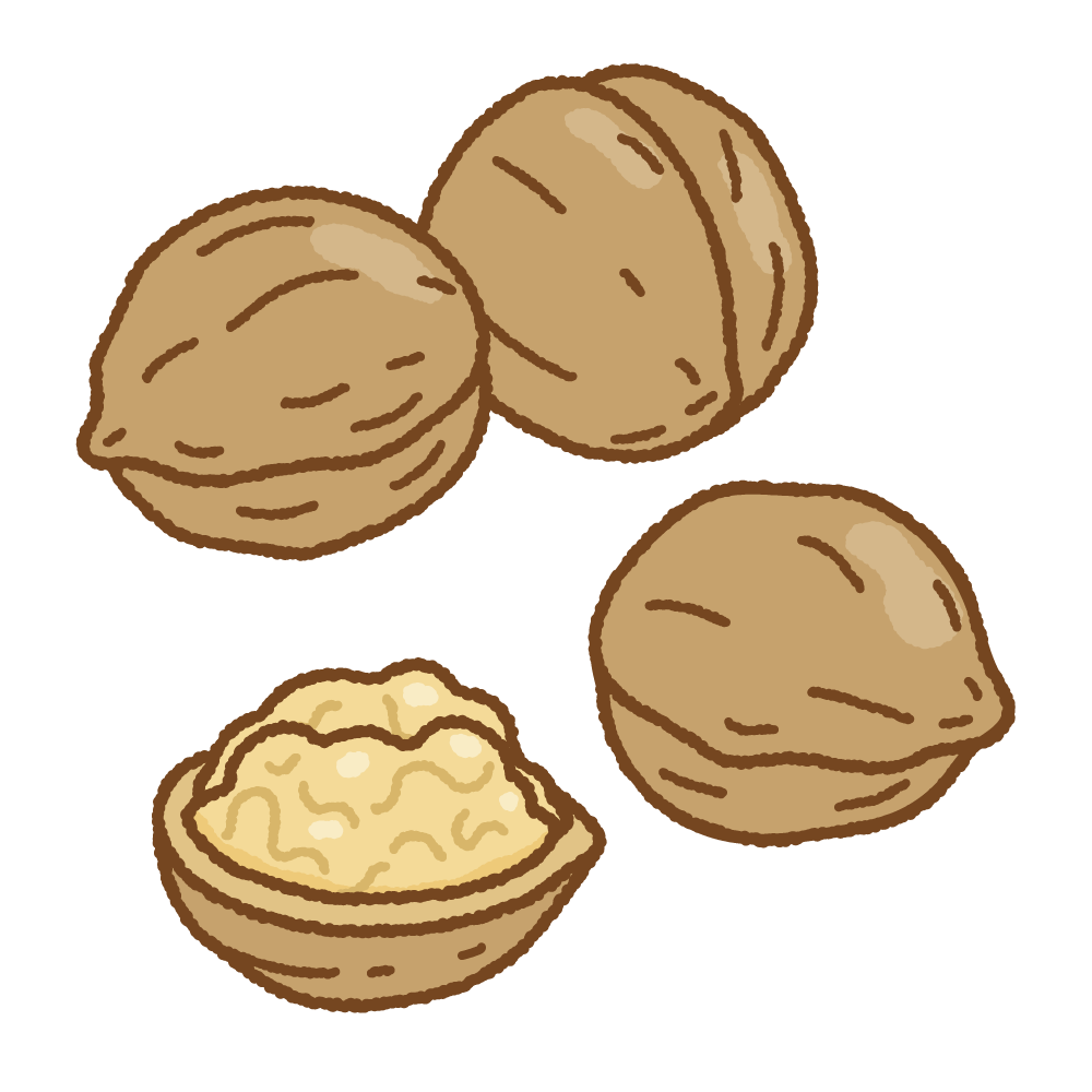 クルミのフリーイラスト Clip art of walnut