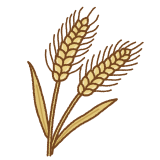 麦のフリーイラスト Clip art of wheat