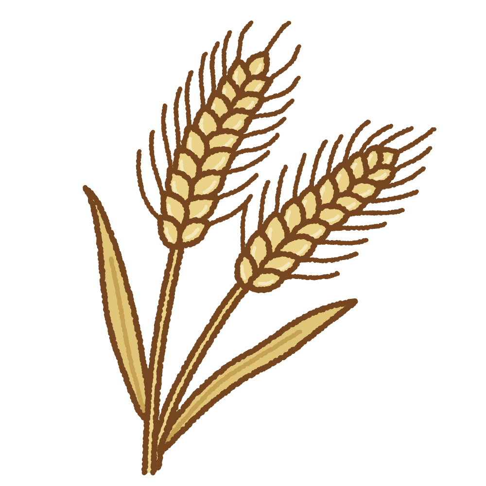 麦のフリーイラスト Clip art of wheat