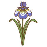 アヤメのフリーイラスト Clip art of iris sanguinea