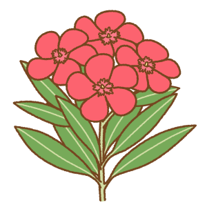 キョウチクトウの花のフリーイラスト Clip art of oleander