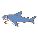 サメのフリーイラスト Clip art of shark