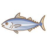 カツオのフリーイラスト Clip art of skipjack tuna