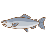 サケのフリーイラスト Clip art of salmon