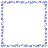 キキョウの正方形フレーム素材のフリーイラスト Clip art of kikyou square frame