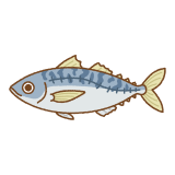 鯖のフリーイラスト Clip art of mackerel