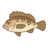 メバルのフリーイラスト Clip art of dark-banded-rockfish