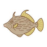 カワハギのフリーイラスト Clip art of thread-sail filefish