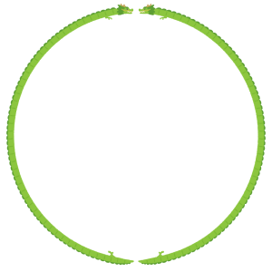 龍の丸フレーム素材のフリーイラスト Clip art of ryuu circle frame
