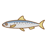 イワシのフリーイラスト Clip art of sardine