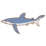 ヨシキリザメのフリーイラスト Clip art of blue-shark