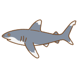 ヨゴレザメのフリーイラスト Clip art of oceanic-whitetip-shark