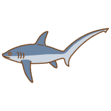 オナガザメのフリーイラスト Clip art of threcher-shark
