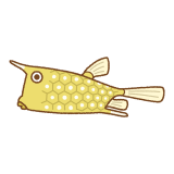 コンゴウフグのフリーイラスト Clip art of longhorn-cowfish