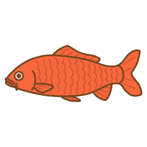 錦鯉のフリーイラスト Clip art of koi