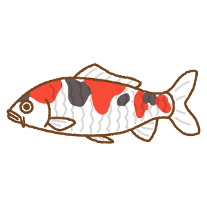 錦鯉のフリーイラスト Clip art of koi