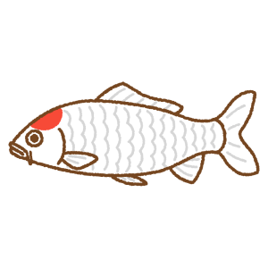 錦鯉のフリーイラスト Clip art of koi