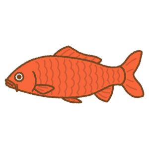 錦鯉のフリーイラスト Clip art of koi