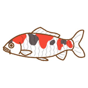 錦鯉のフリーイラスト Clip art of koi
