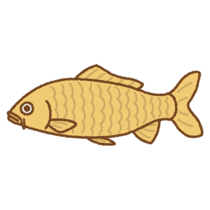 錦鯉のフリーイラスト Clip art of koi