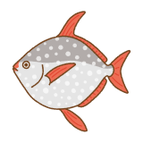 アカマンボウのフリーイラスト Clip art of opah