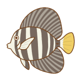 ヒレナガハギのフリーイラスト Clip art of sailfin-tang