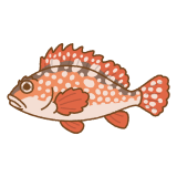 カサゴのフリーイラスト Clip art of sea-ruffe