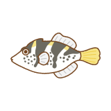 ノコギリハギのフリーイラスト Clip art of blacksaddle-filefish