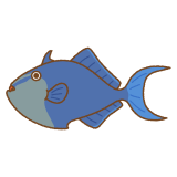 アカモンガラのフリーイラスト Clip art of redtoothed-triggerfish