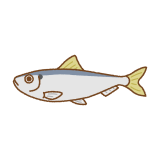 サッパのフリーイラスト Clip art of Japanese-sardinella