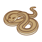 シマヘビのフリーイラスト Clip art of Japanese-striped-snake