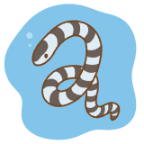 ウミヘビのフリーイラスト Clip art of sea-snake