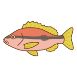 ヨコスジフエダイのフリーイラスト Clip art of brownstripe-red-snapper