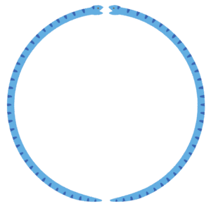 ヘビの丸フレーム素材のフリーイラスト Clip art of snake circle frame