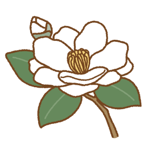 サザンカのフリーイラスト Clip art of sasanqua camellia