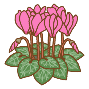 シクラメンのフリーイラスト Clip art of persian-cyclamen