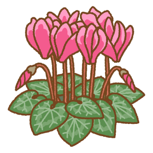 シクラメンのフリーイラスト Clip art of persian-cyclamen