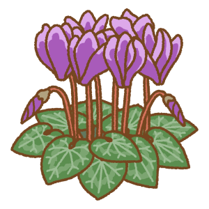 シクラメンのフリーイラスト Clip art of persian-cyclamen