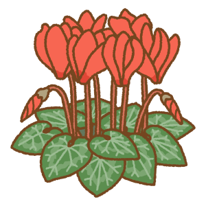 シクラメンのフリーイラスト Clip art of persian-cyclamen