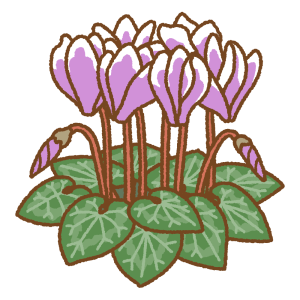 シクラメンのフリーイラスト Clip art of persian-cyclamen