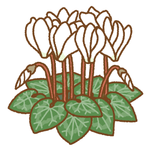 シクラメンのフリーイラスト Clip art of persian-cyclamen