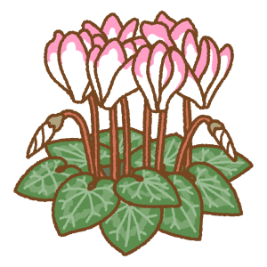 シクラメンのフリーイラスト Clip art of persian-cyclamen