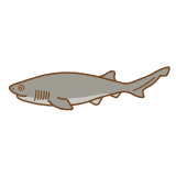 カグラザメのフリーイラスト Clip art of cow shark