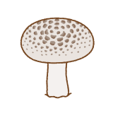 ヒョウモンクロシメジのフリーイラスト Clip art of tiger tricholoma
