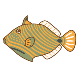 クマドリのフリーイラスト Clip art of orangestripe-triggerfish